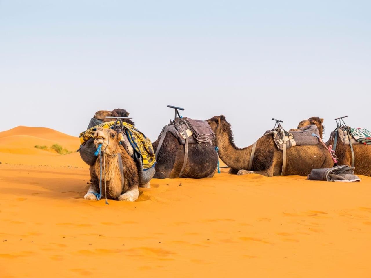 Sunny Place Apartments Merzouga Exterior foto